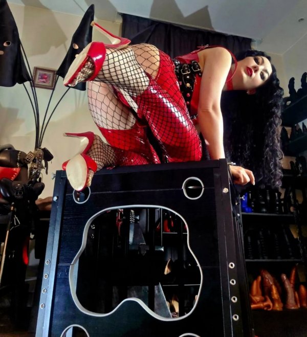 thumb_1877295_1920_1920_0_0_fit (1).jpg