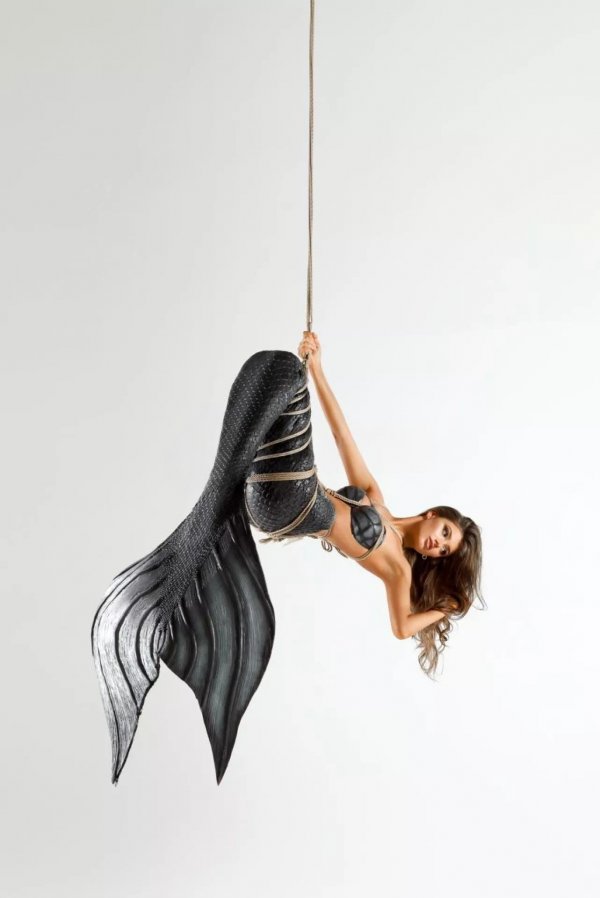 thumb_1335211_1920_1920_0_0_fit (1).jpg